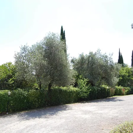 Comiti Sanzio *