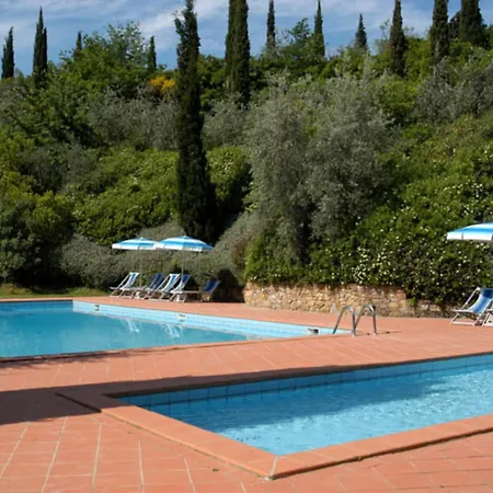 Comiti Sanzio * Montaione