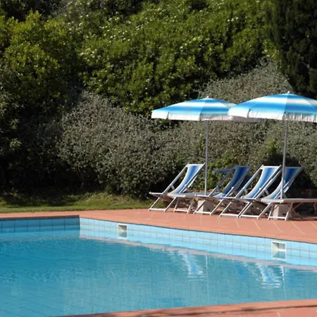 Comiti Sanzio